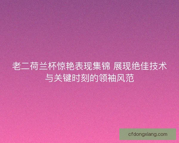 老二荷兰杯惊艳表现集锦 展现绝佳技术与关键时刻的领袖风范